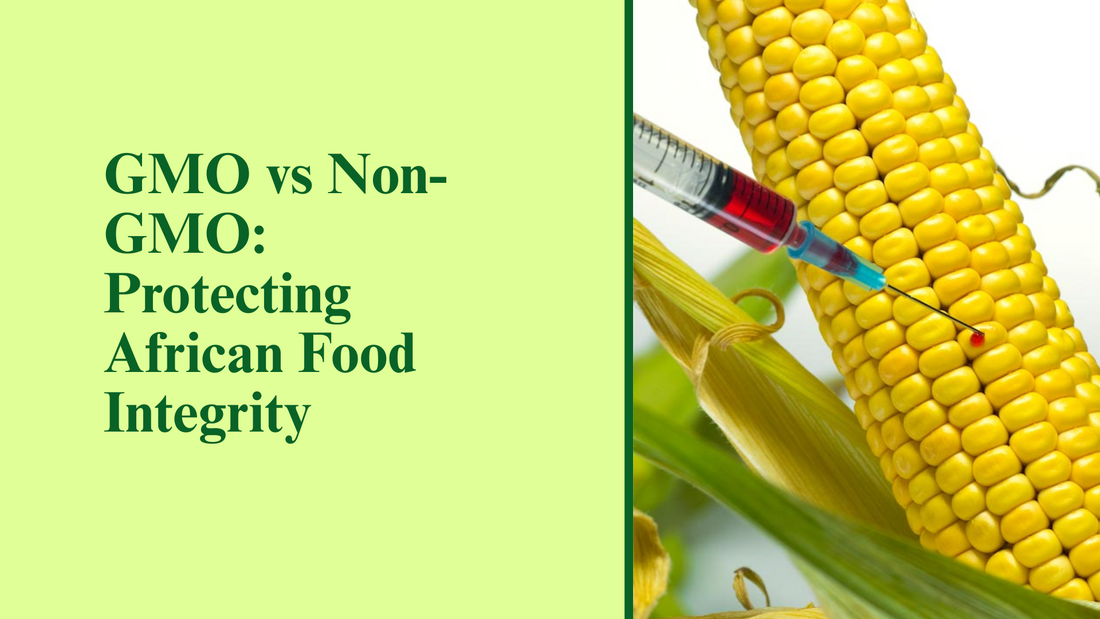 GMO vs Non-GMO: Protecting African Food Integrity