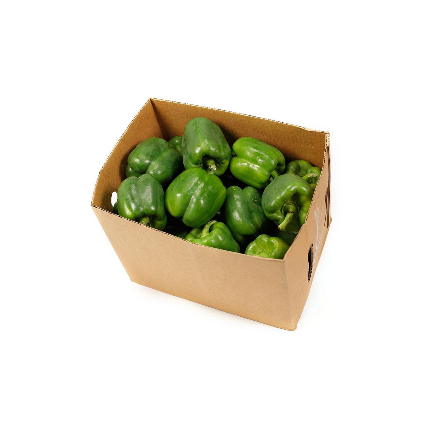 Bell Pepper Green