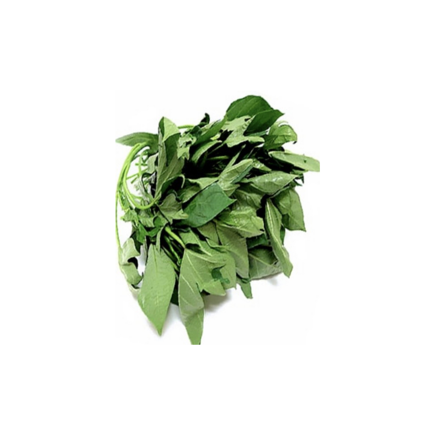 Fresh Bitter Leaves