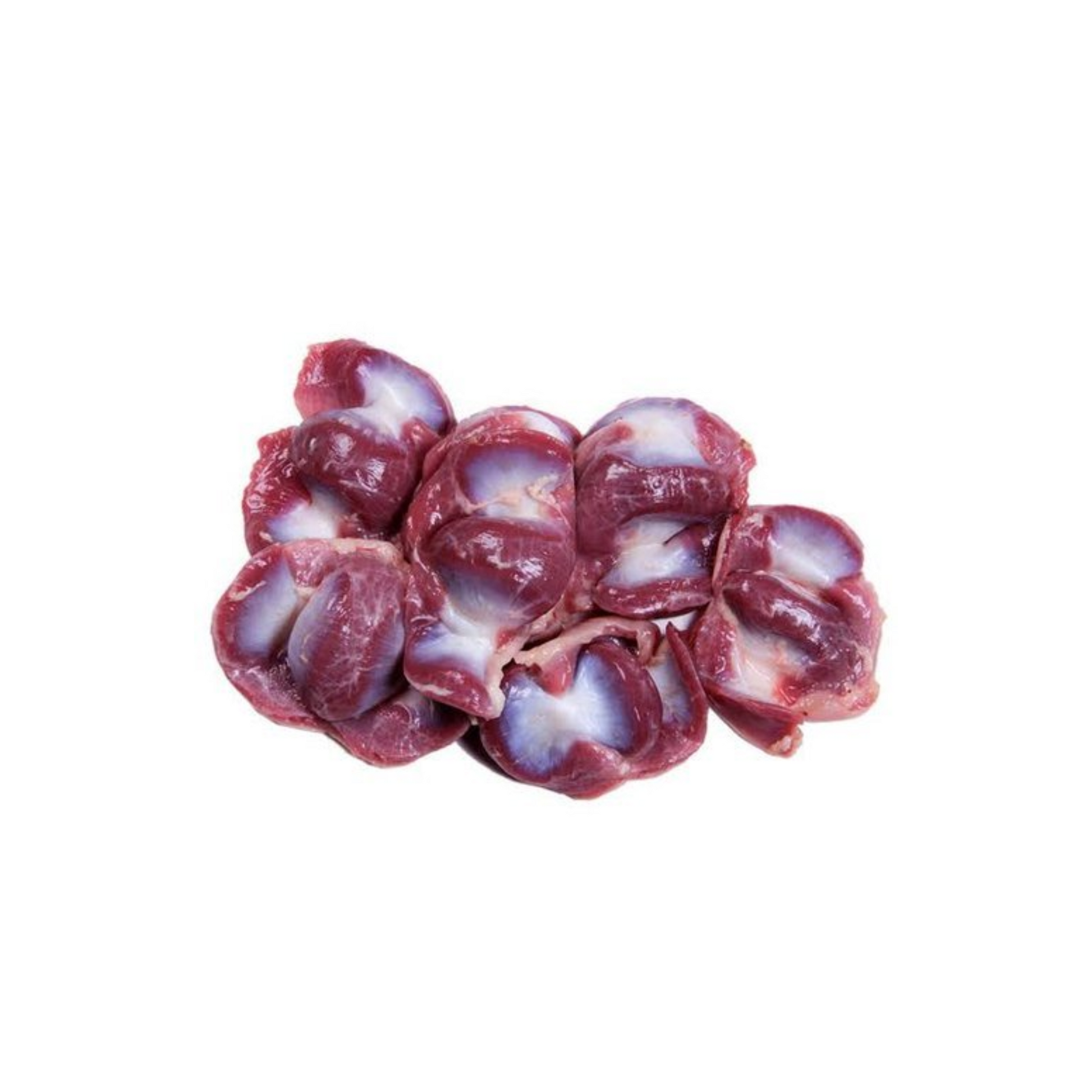 Frozen Chicken Gizzard