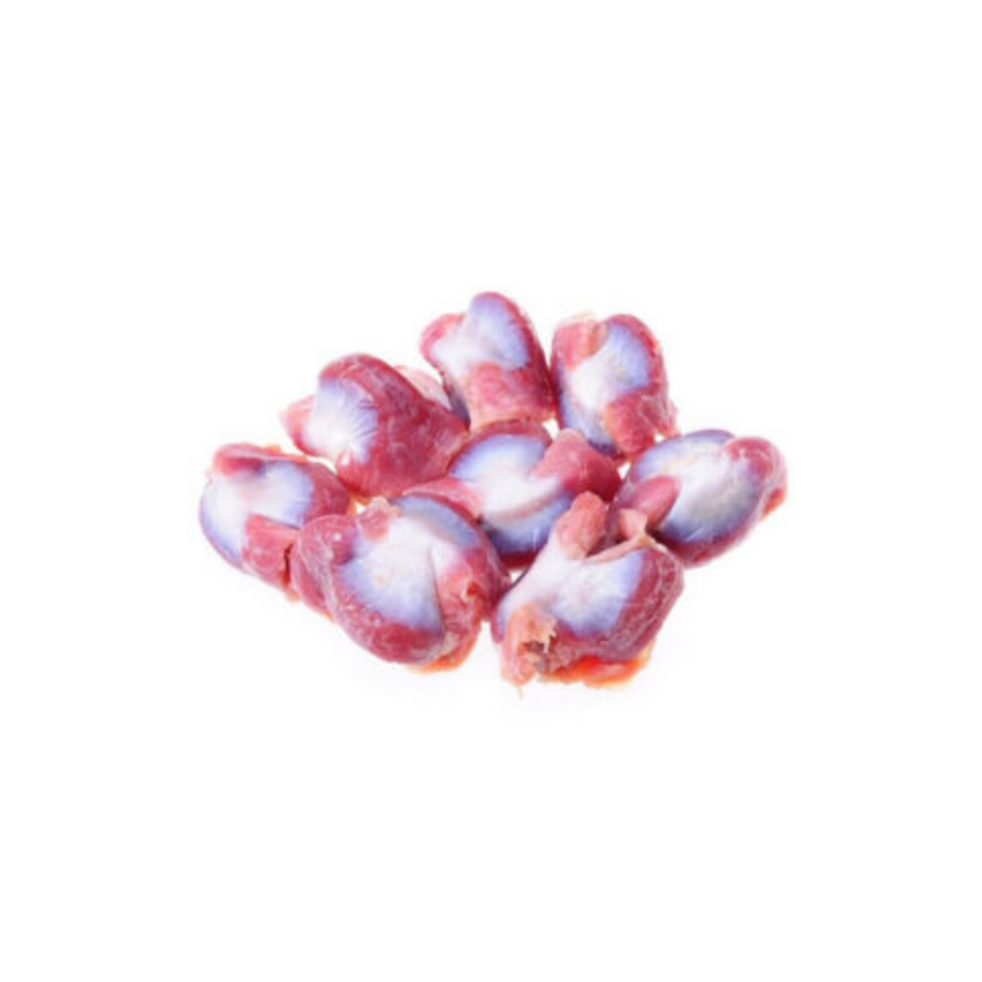 Frozen Turkey Gizzard