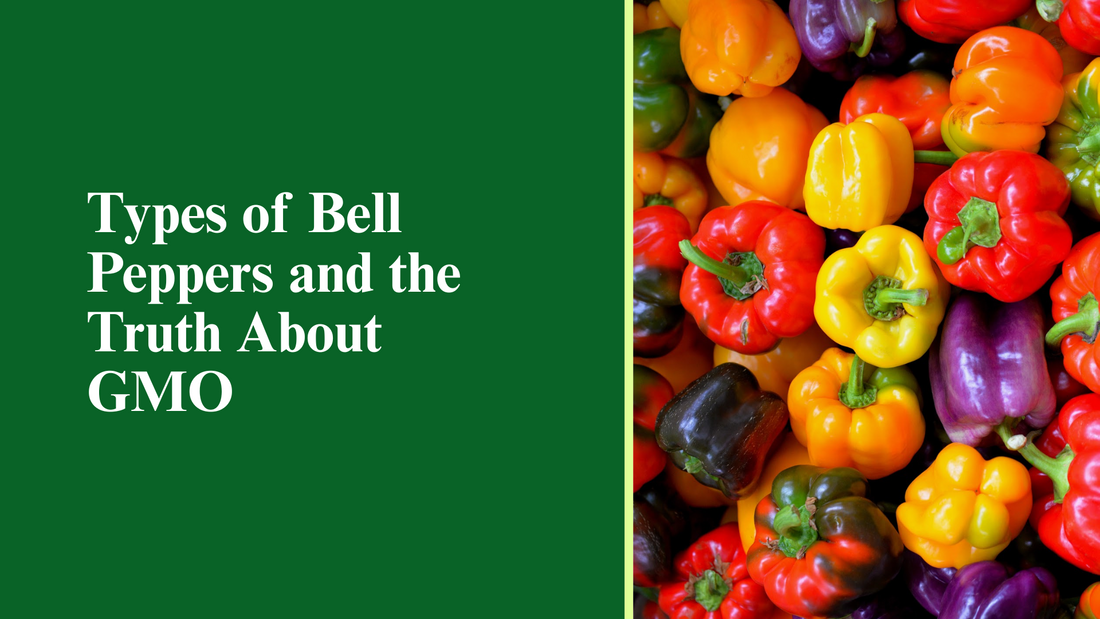 Types of Bell Peppers and the Truth About GMO
