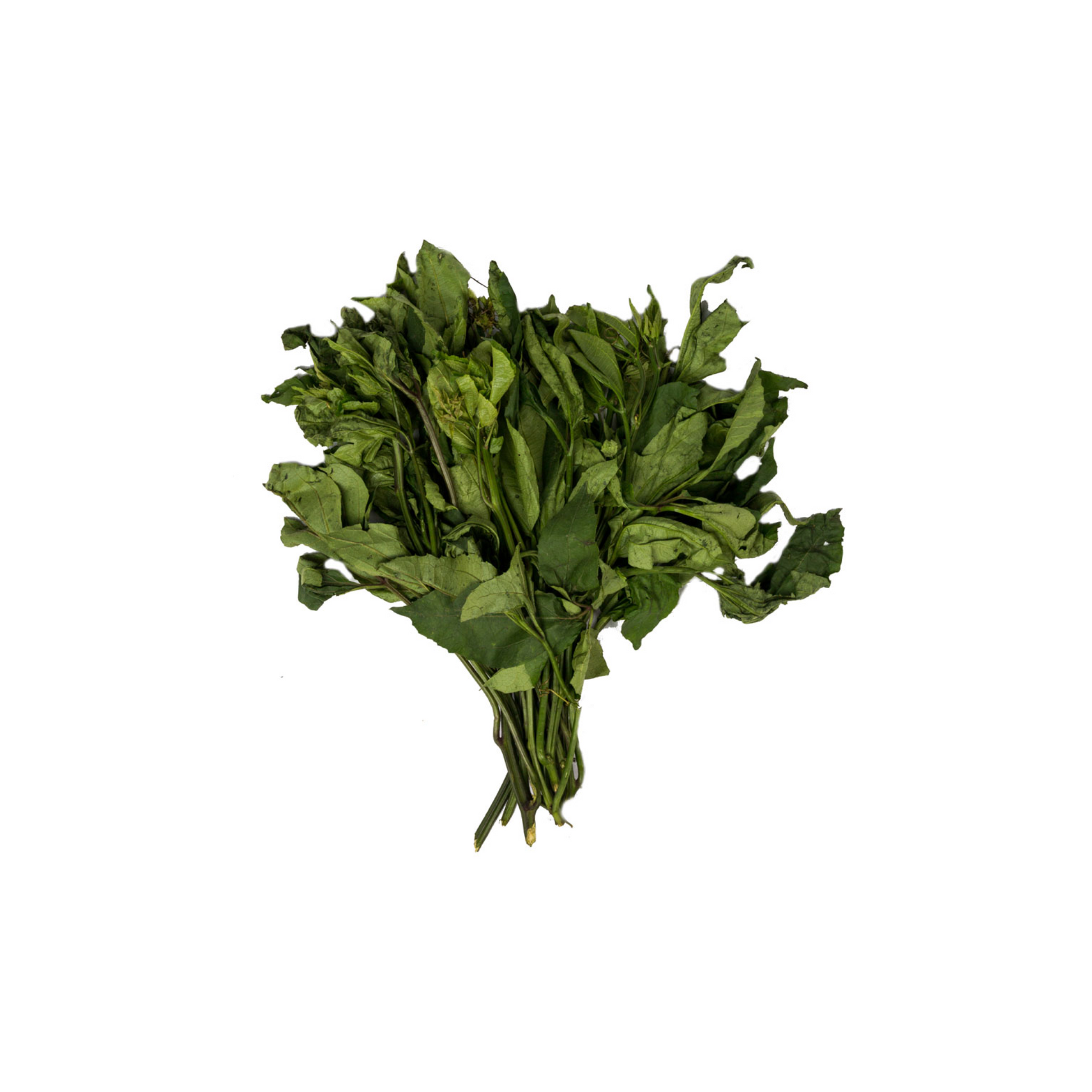 Fresh Ugu Leaves